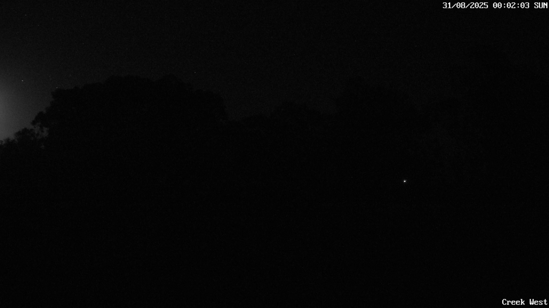 time-lapse frame, CreekCam West webcam