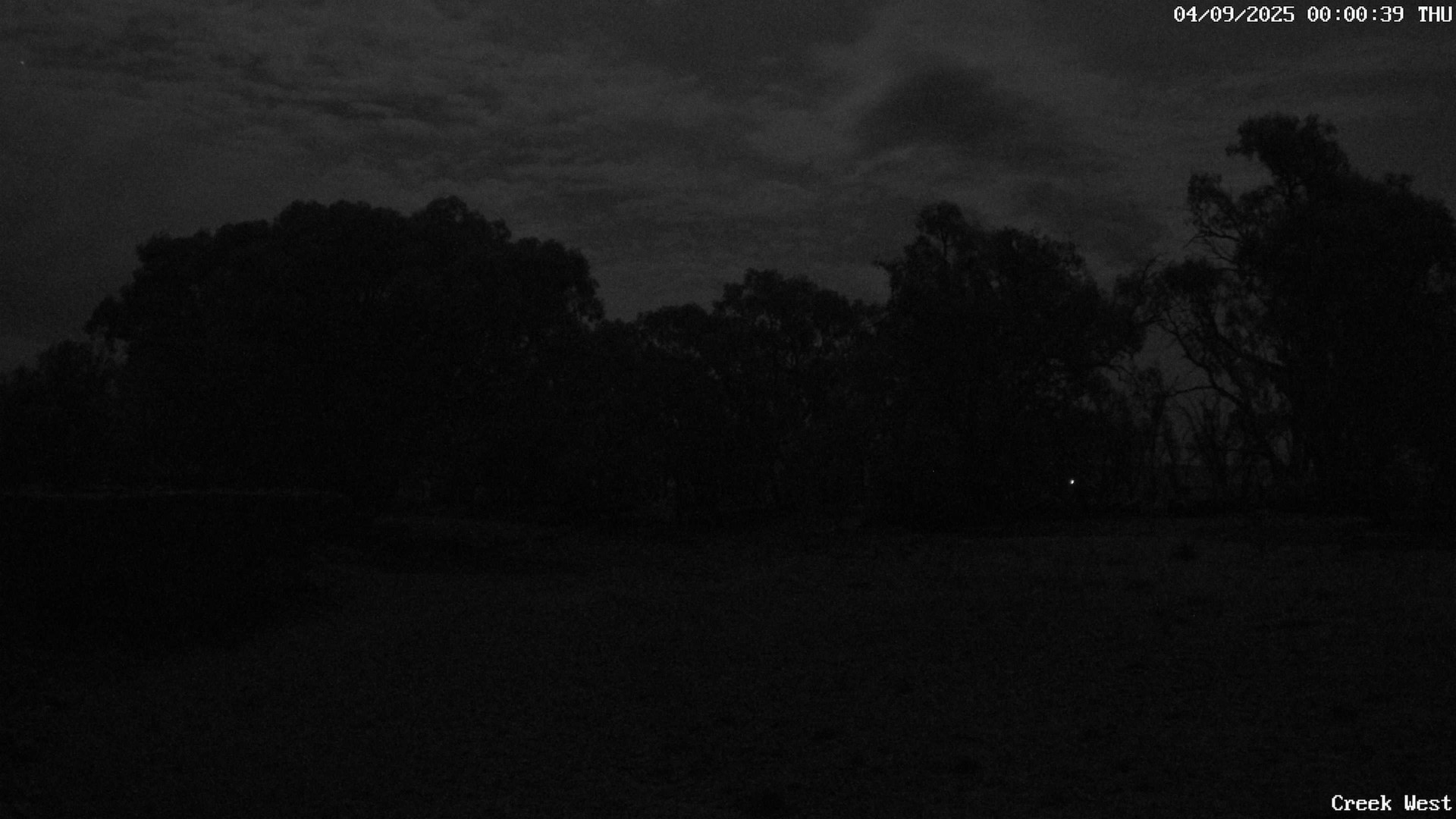 time-lapse frame, CreekCam West webcam