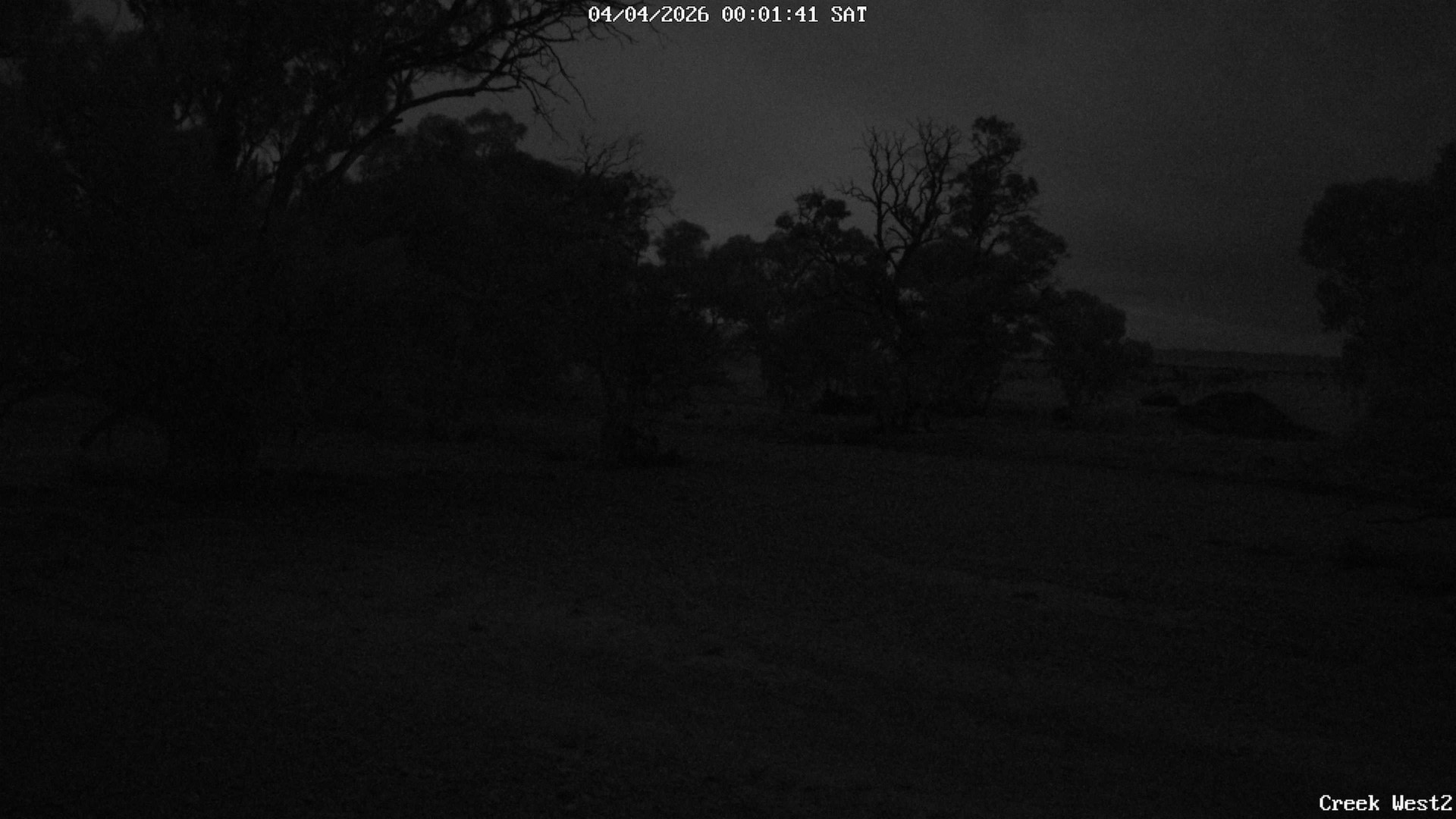 time-lapse frame, CreekCam West webcam