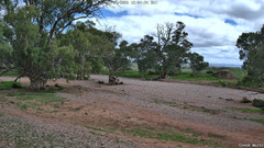 view from CreekCam West on 2026-04-11