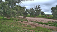 view from CreekCam West on 2026-06-05