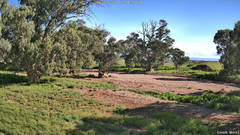 view from CreekCam West on 2026-06-06