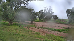view from CreekCam West on 2026-06-13