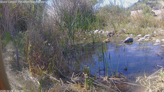 view from Pakoon Springs Stream Side on 2026-04-23