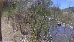 view from Pakoon Springs Stream Side on 2026-06-04