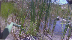 view from Pakoon Springs Stream Side on 2026-07-28
