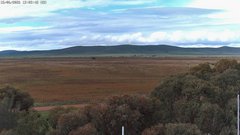 view from East on 2026-06-15