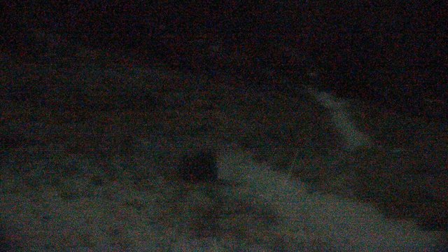 time-lapse frame, Snow Valley Peak Cam webcam