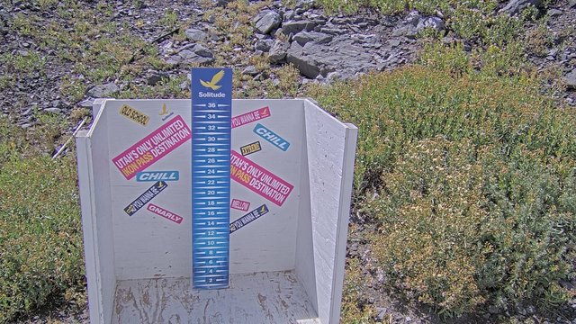 view from Solitude Snowstake Camera  on 2026-08-22