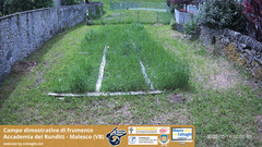 view from Grano on 2025-05-14