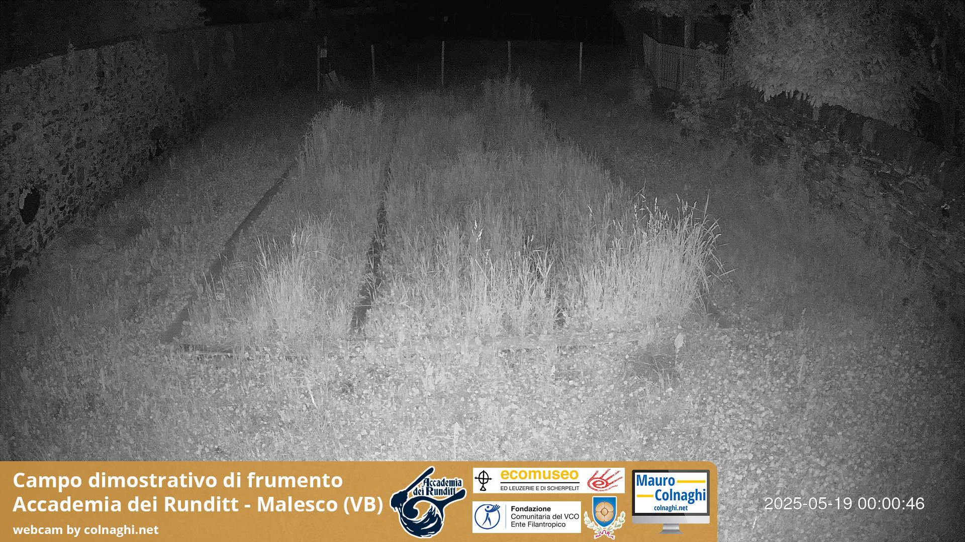 time-lapse frame, Grano webcam