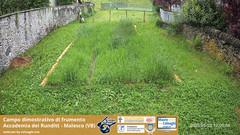 view from Grano on 2025-05-22