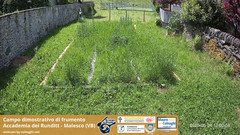 view from Grano on 2025-05-24