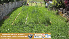 view from Grano on 2025-05-26