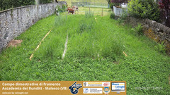 view from Grano on 2025-05-27