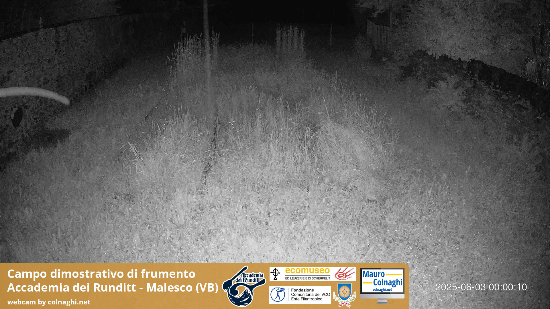 time-lapse frame, Grano webcam