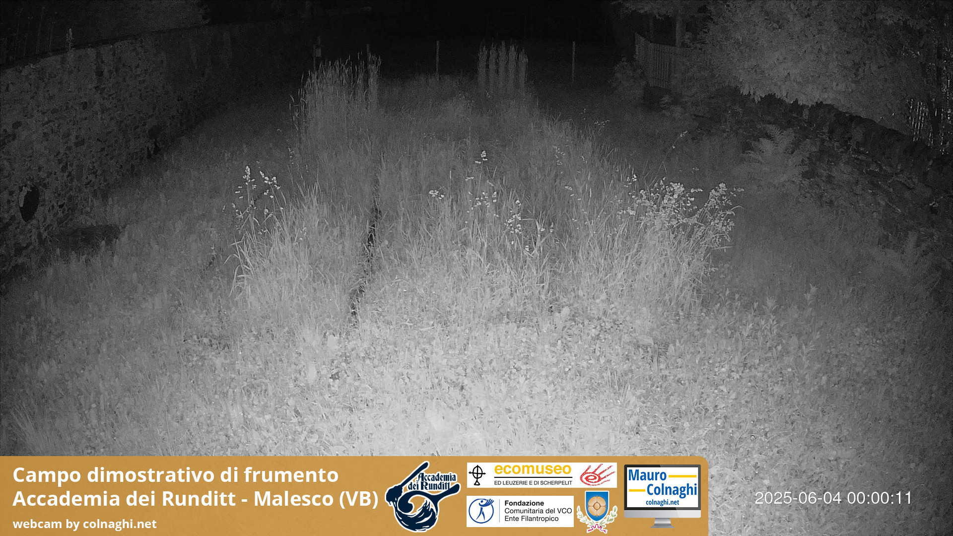 time-lapse frame, Grano webcam