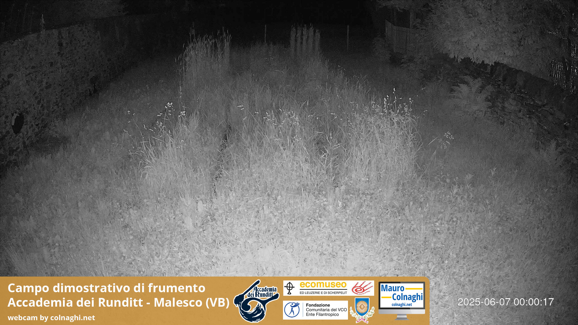 time-lapse frame, Grano webcam