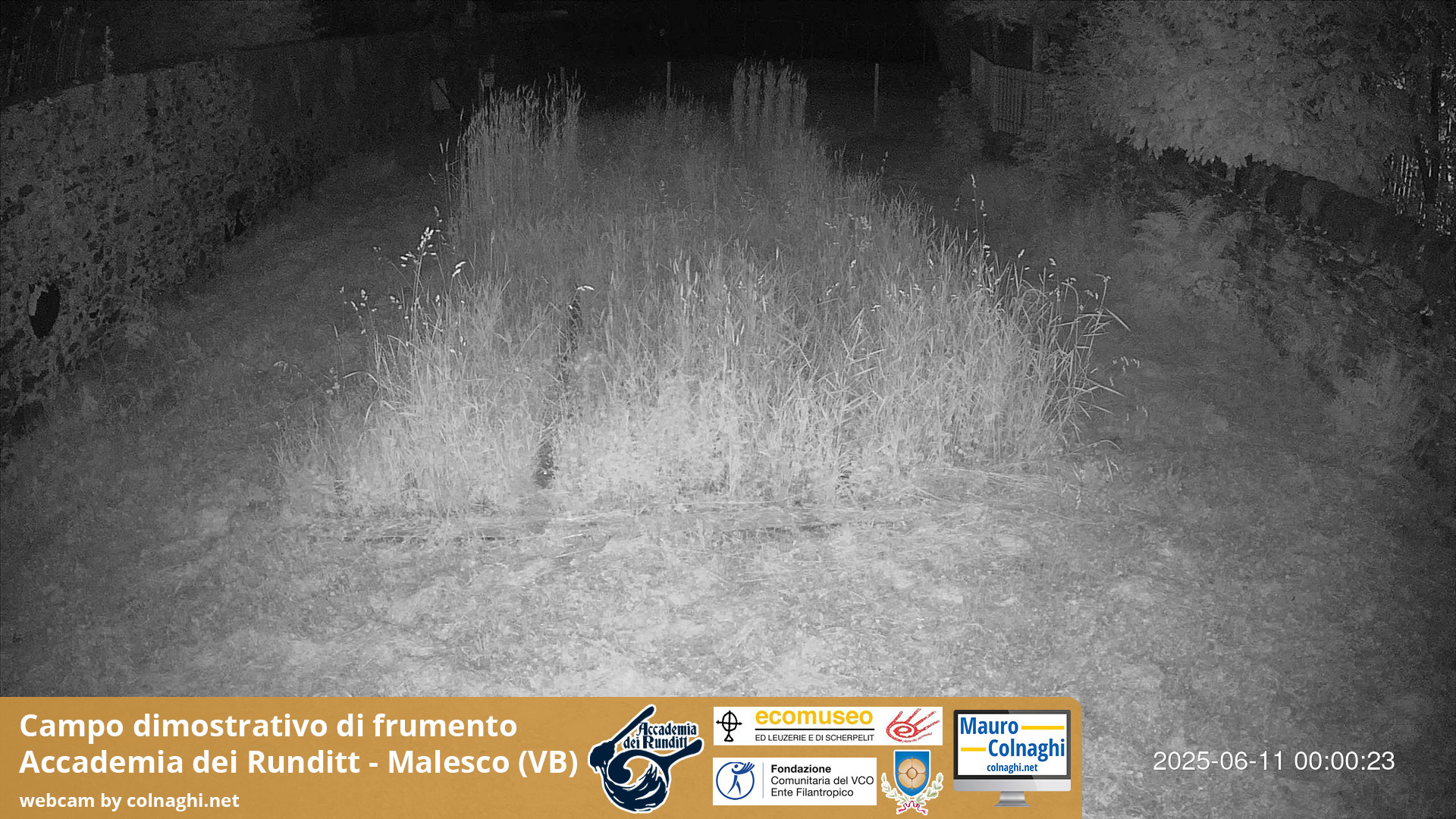 time-lapse frame, Grano webcam