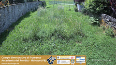 view from Grano on 2025-06-25