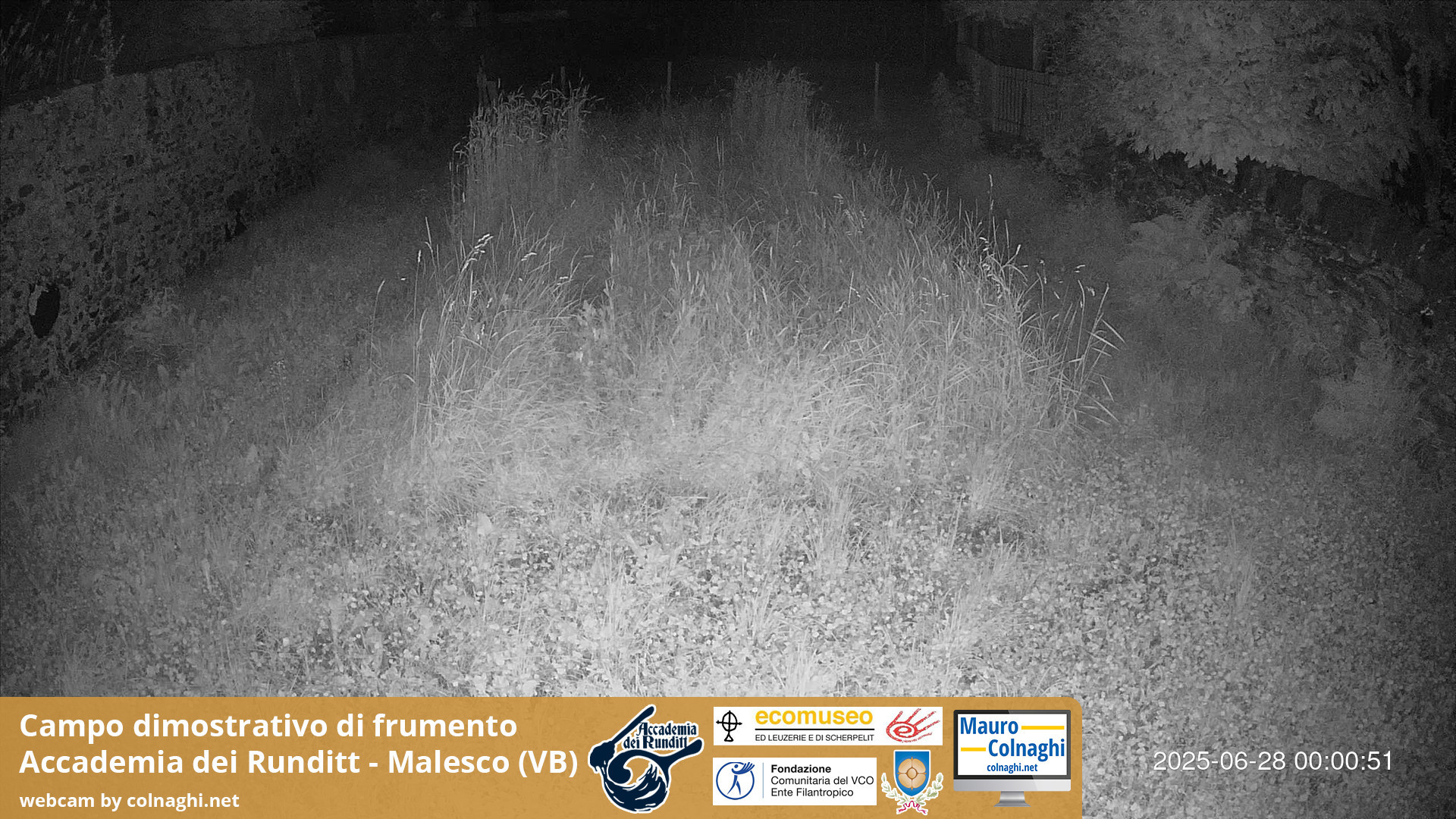 time-lapse frame, Grano webcam