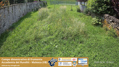 view from Grano on 2025-06-30