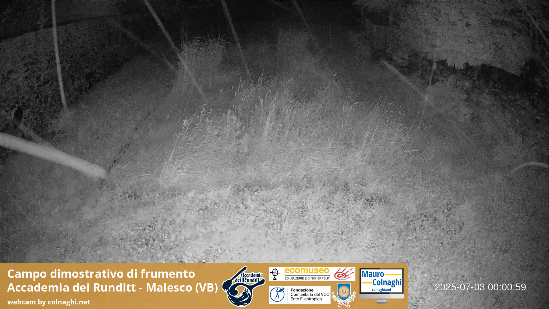 time-lapse frame, Grano webcam