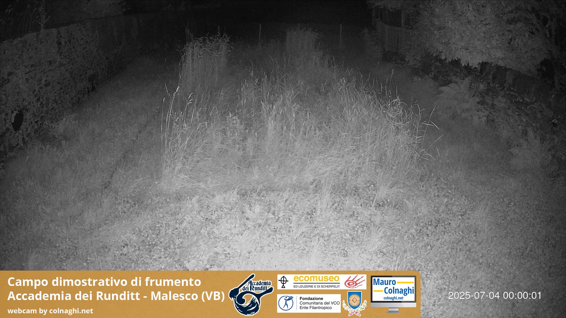 time-lapse frame, Grano webcam
