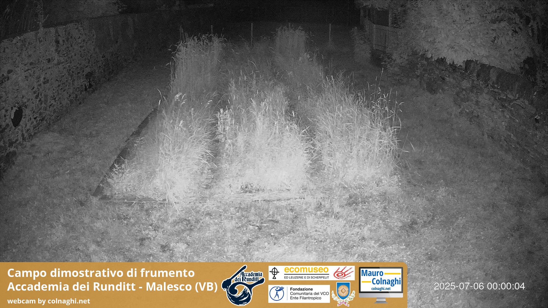 time-lapse frame, Grano webcam
