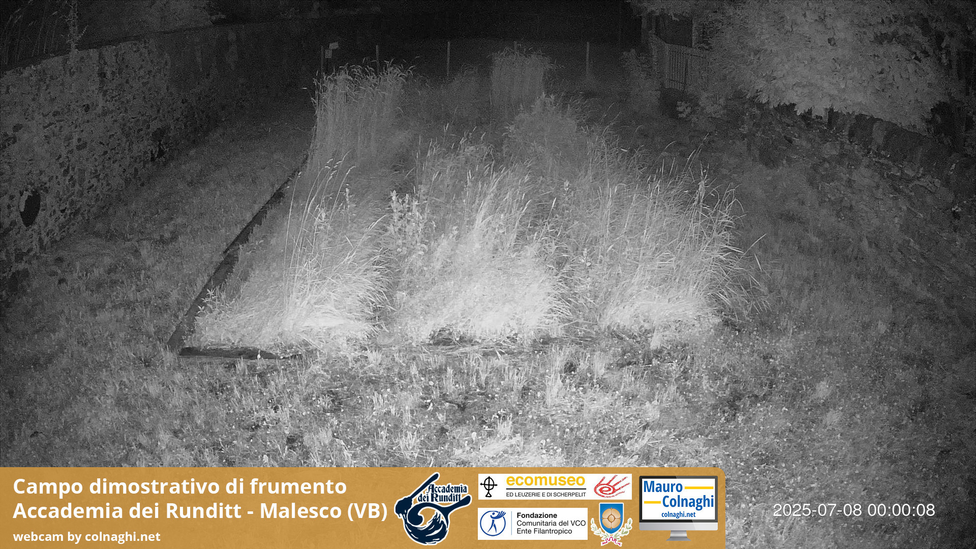 time-lapse frame, Grano webcam