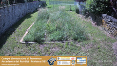 view from Grano on 2025-07-08