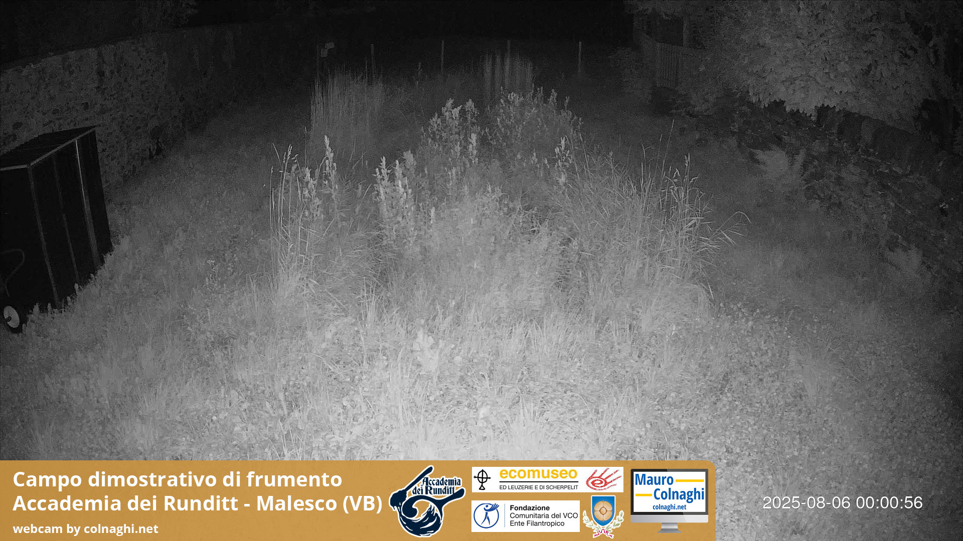 time-lapse frame, Grano webcam