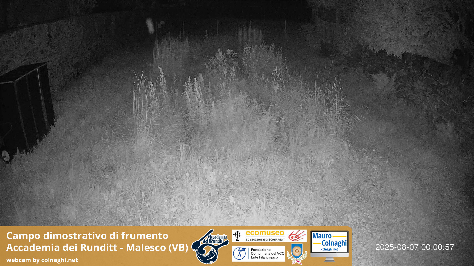 time-lapse frame, Grano webcam