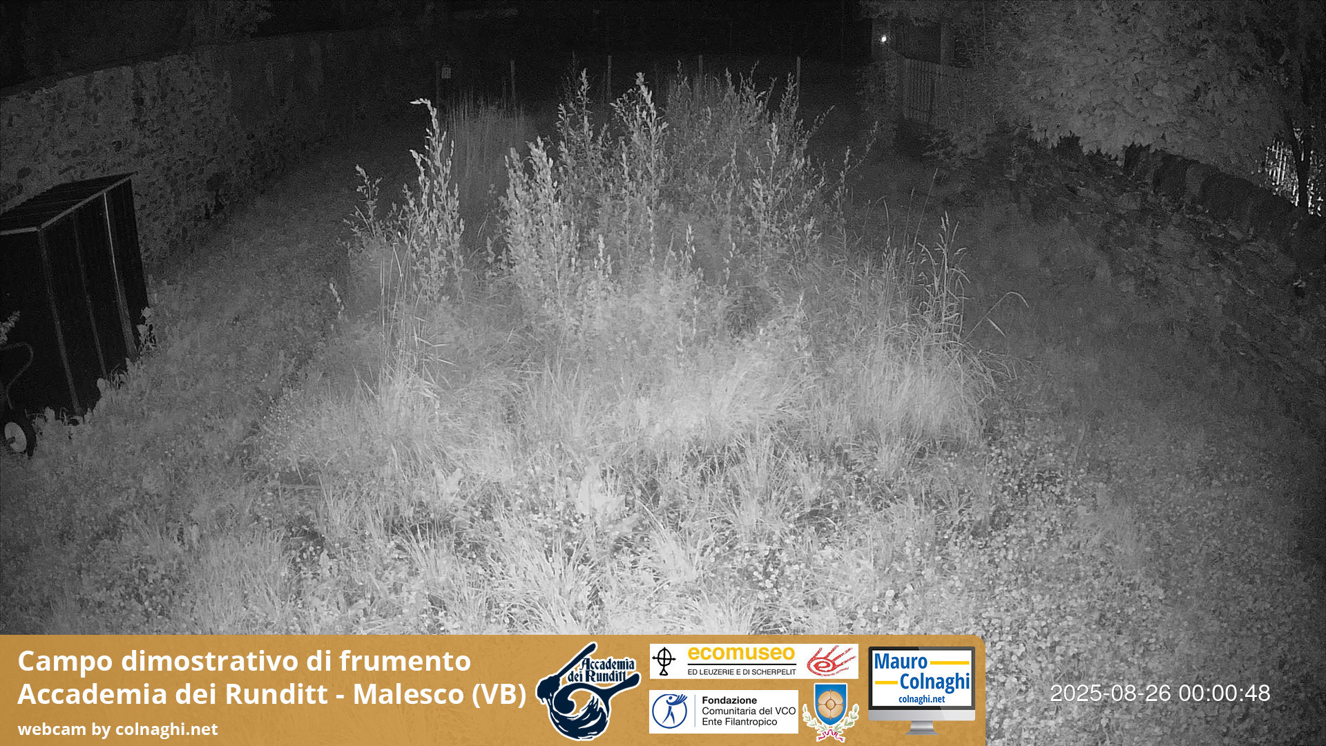 time-lapse frame, Grano webcam