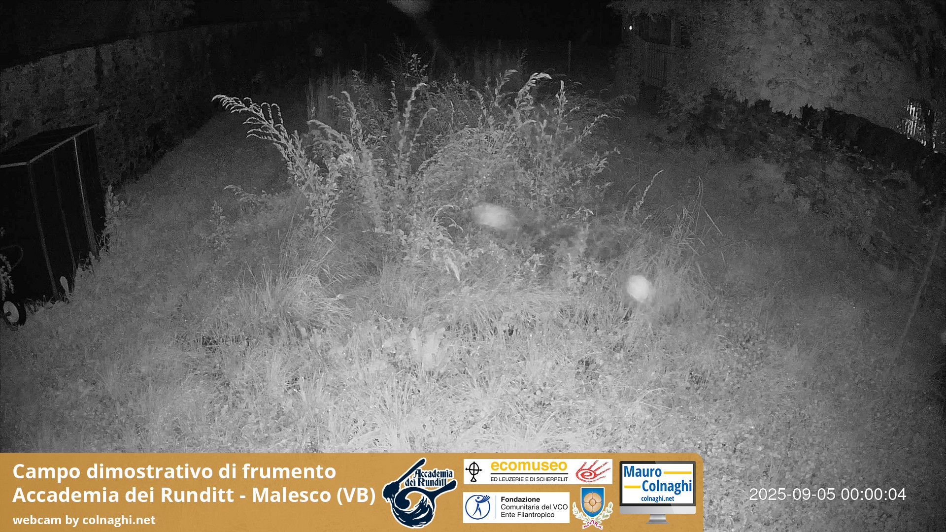 time-lapse frame, Grano webcam