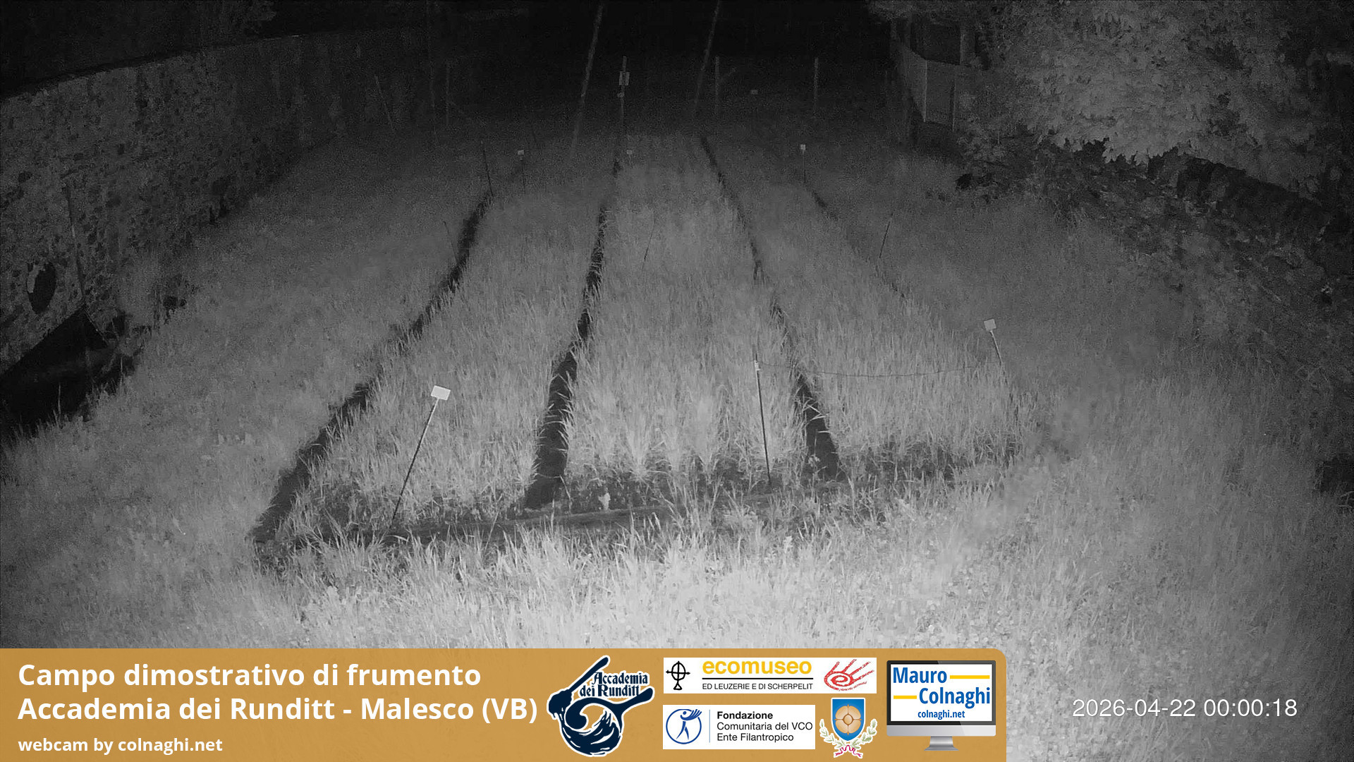 time-lapse frame, Grano webcam