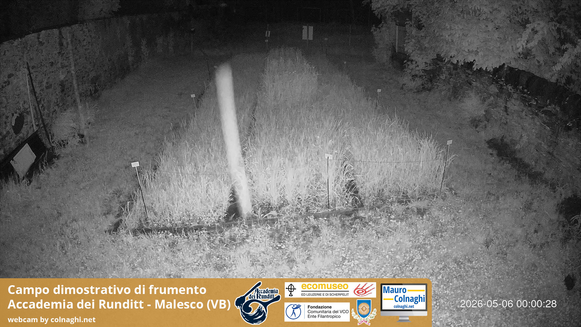 time-lapse frame, Grano webcam