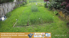 view from Grano on 2026-05-11