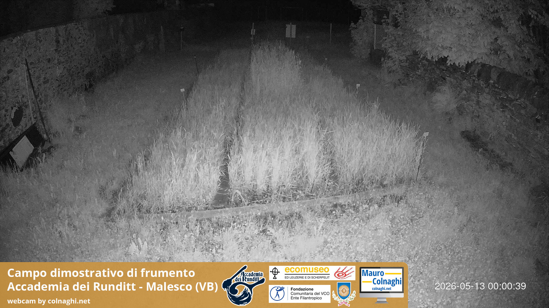 time-lapse frame, Grano webcam