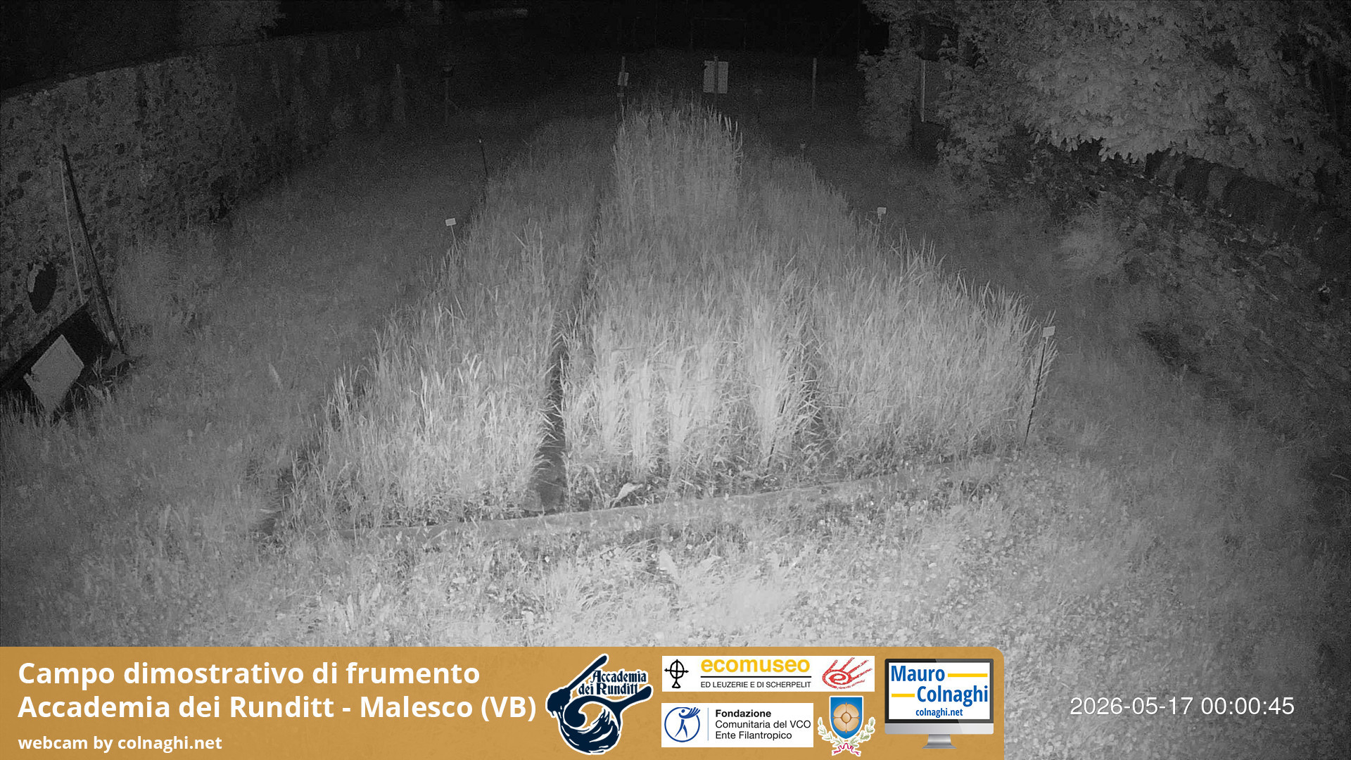time-lapse frame, Grano webcam