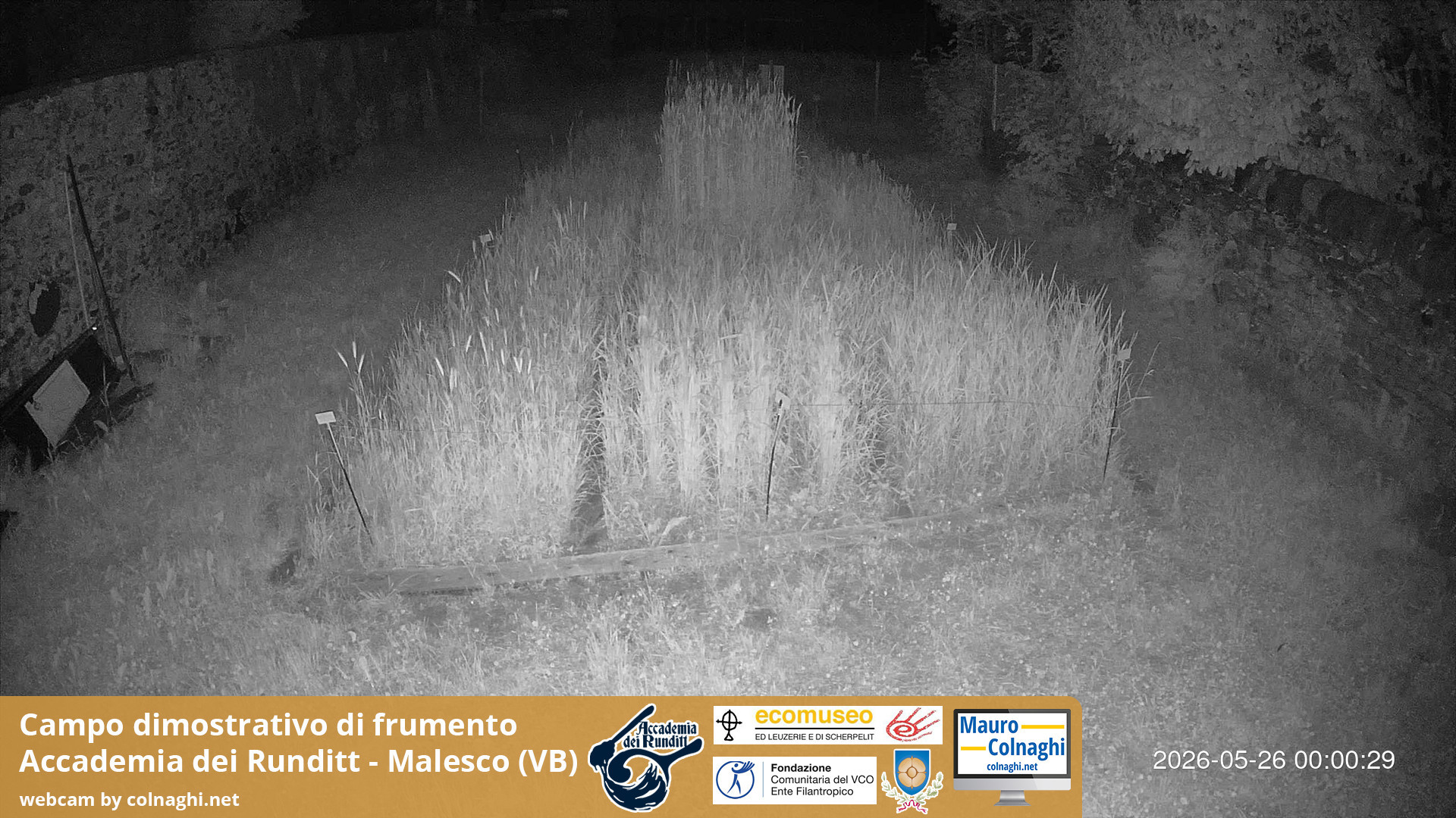 time-lapse frame, Grano webcam