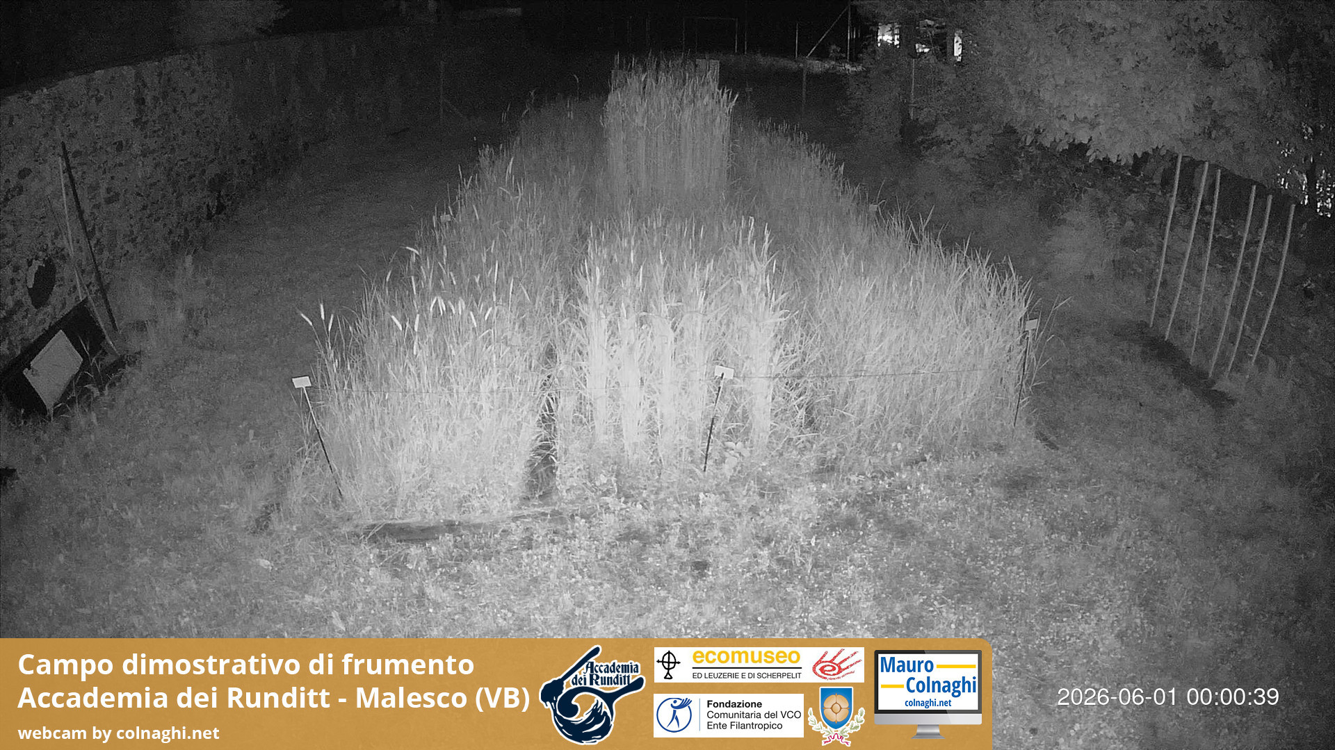 time-lapse frame, Grano webcam