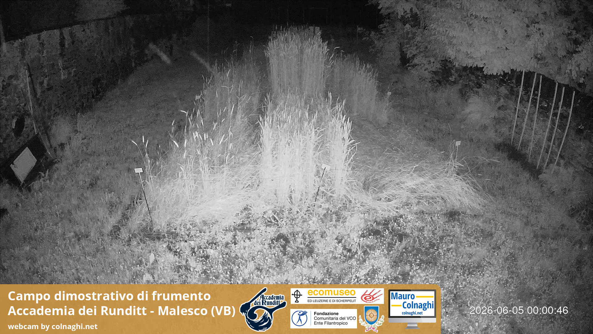 time-lapse frame, Grano webcam