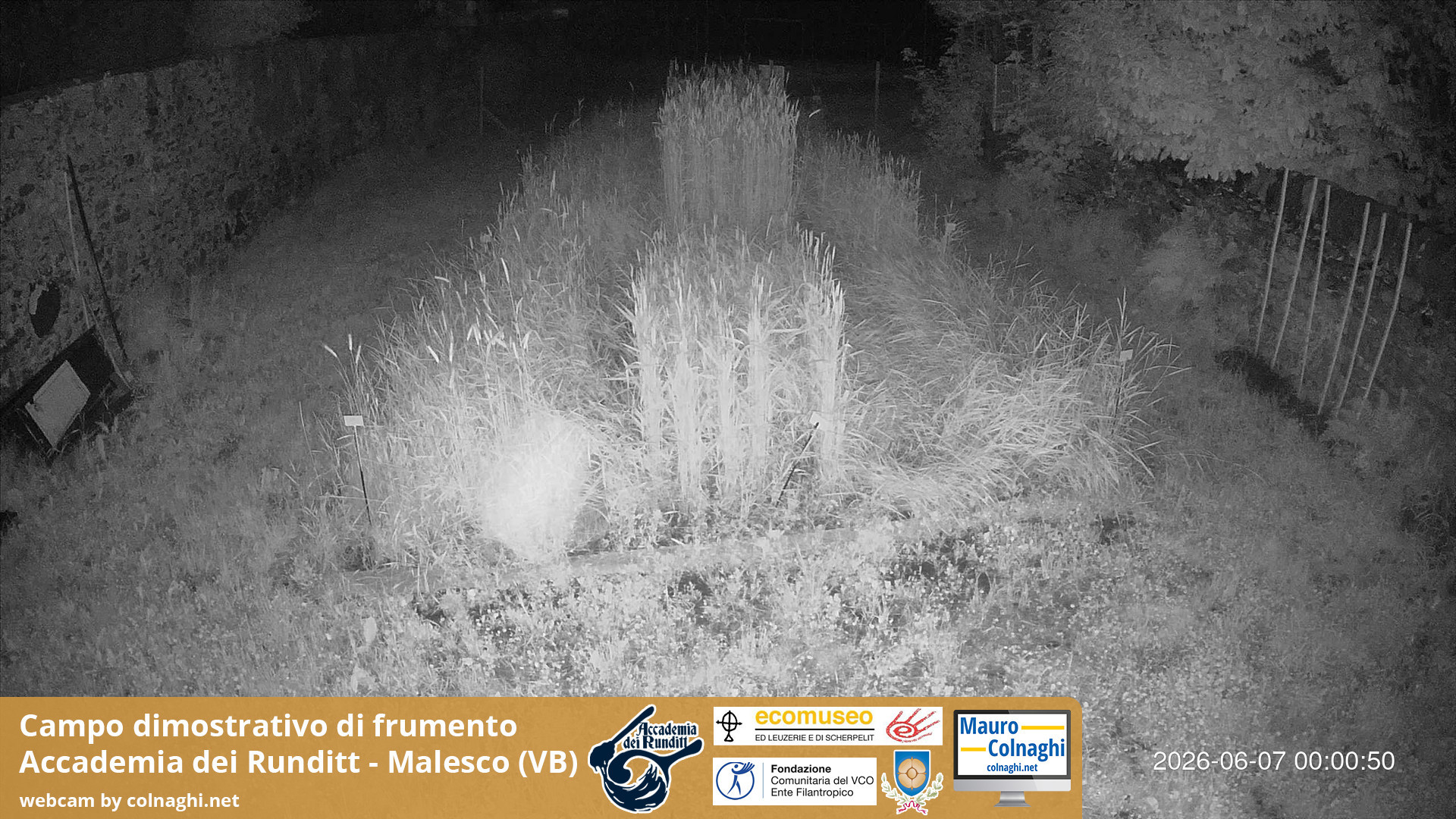time-lapse frame, Grano webcam