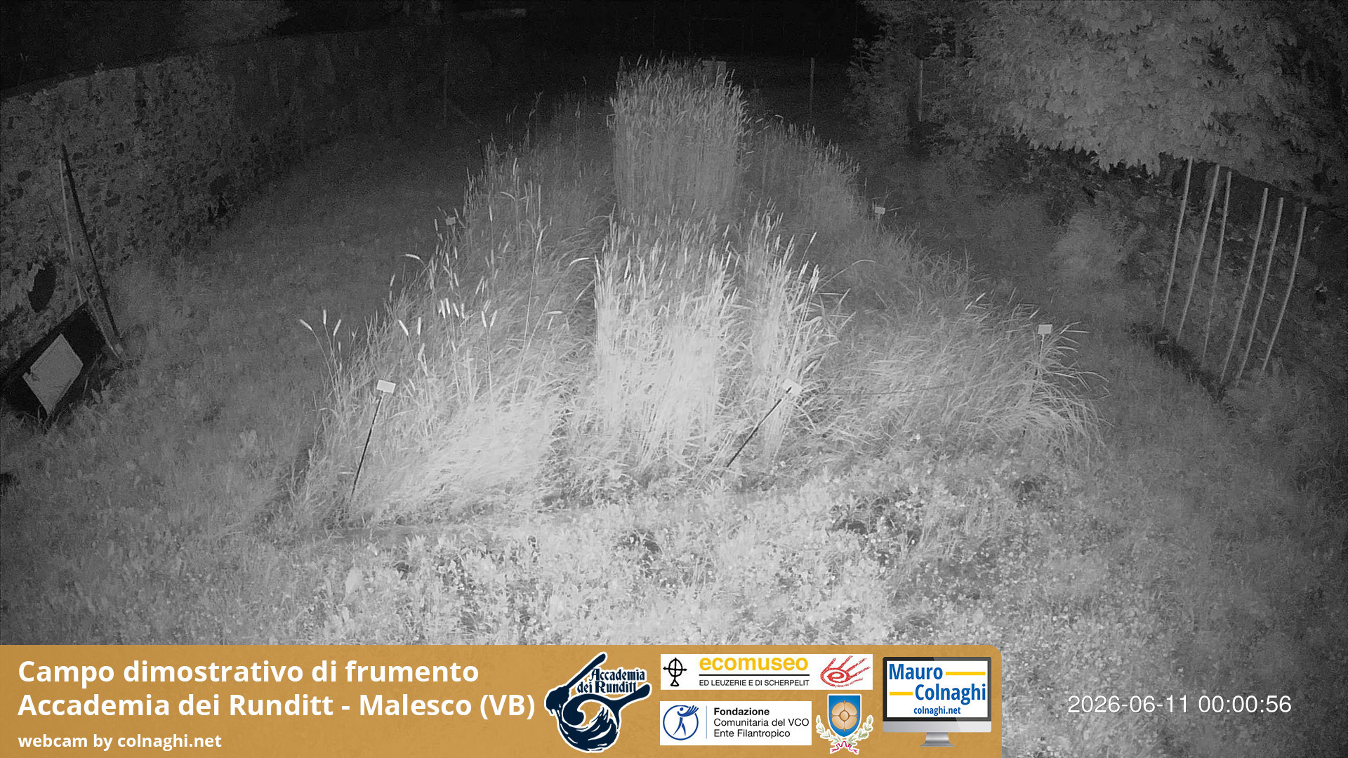 time-lapse frame, Grano webcam
