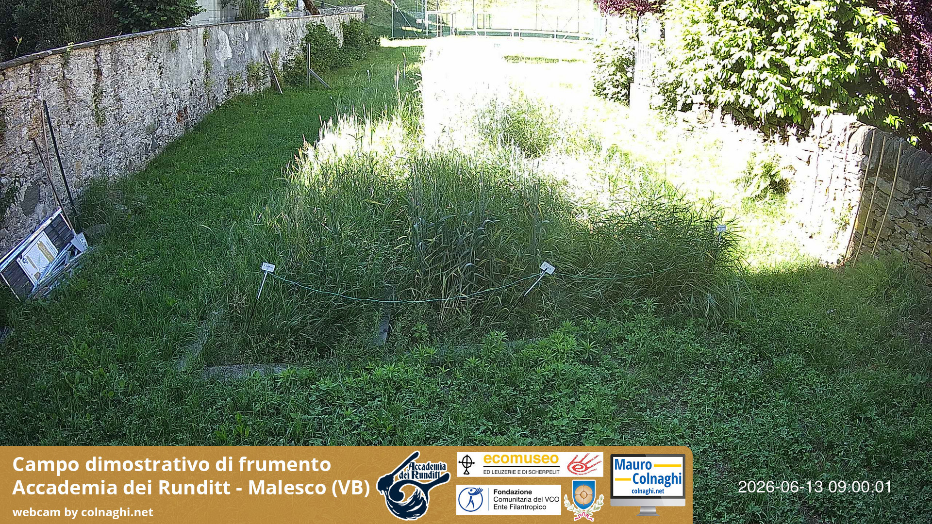 time-lapse frame, Grano webcam