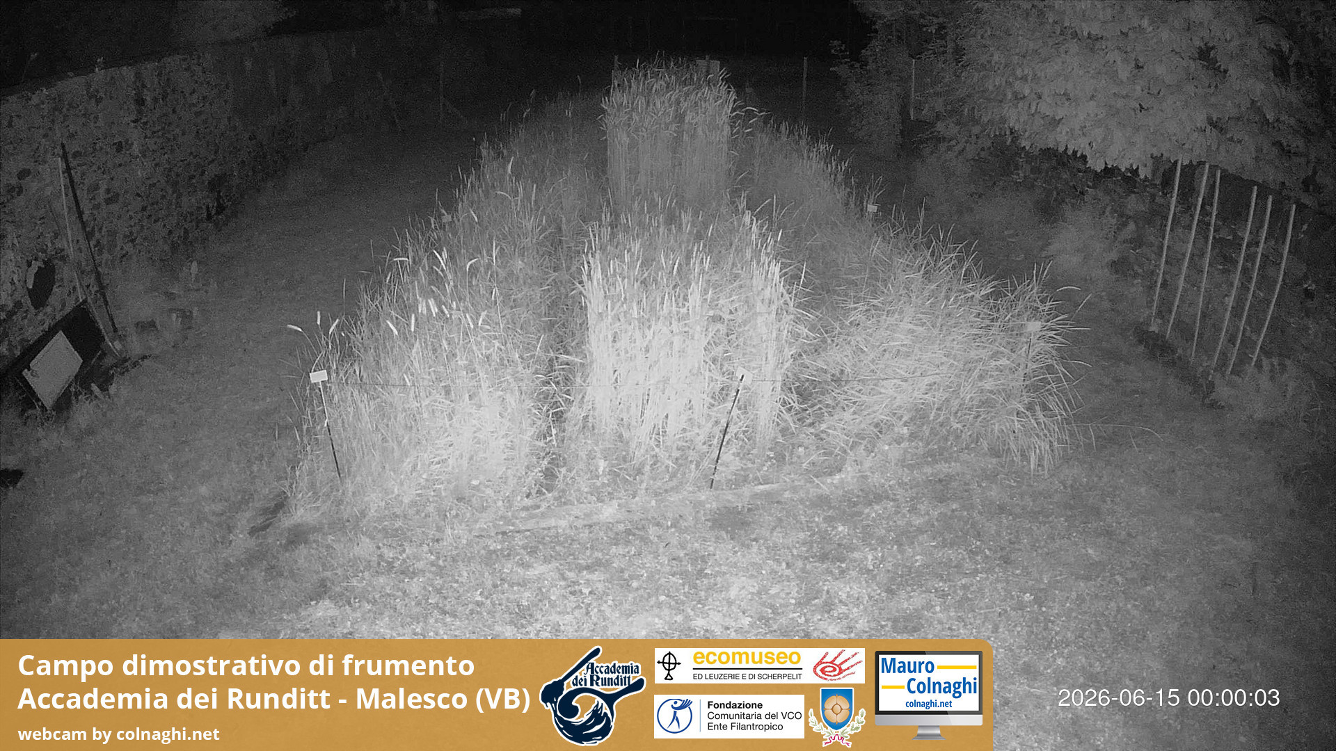 time-lapse frame, Grano webcam