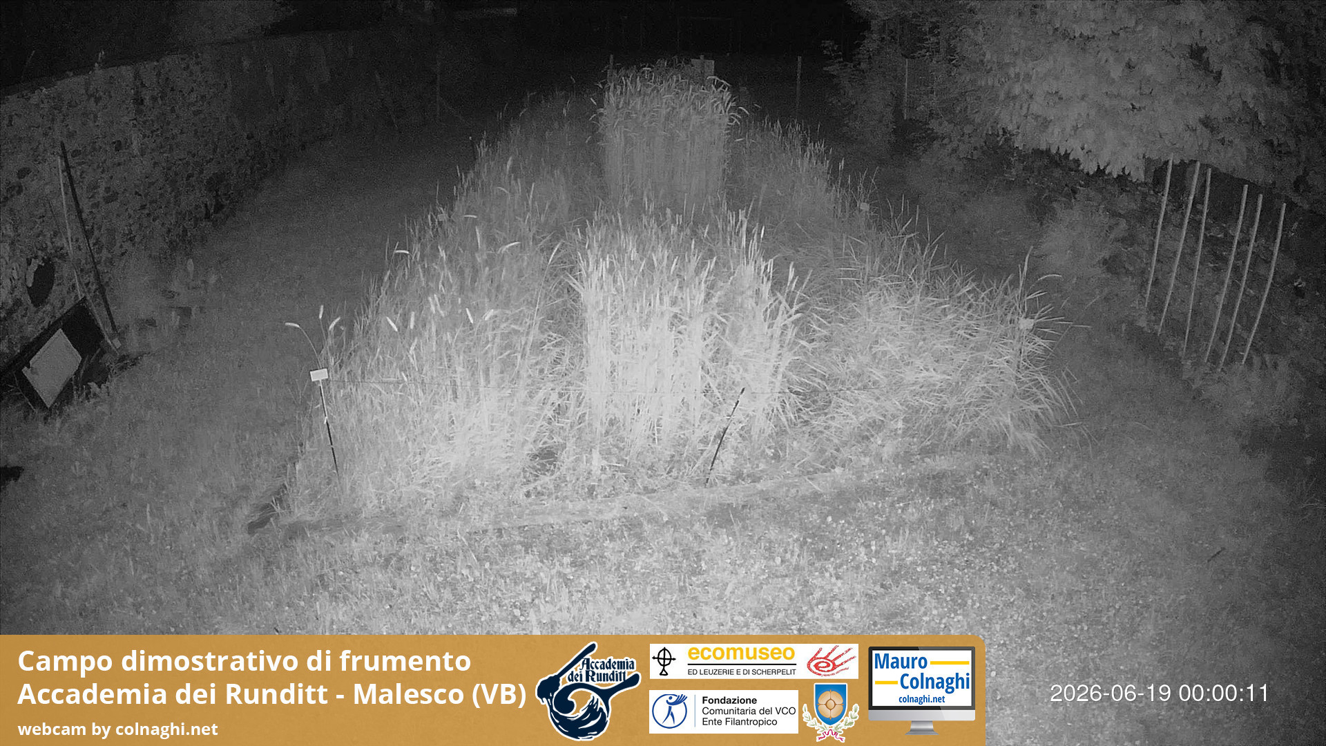time-lapse frame, Grano webcam