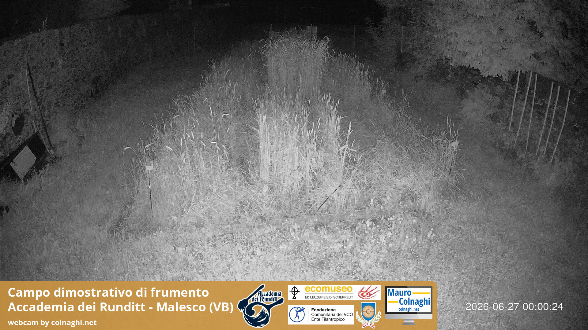 time-lapse frame, Grano webcam