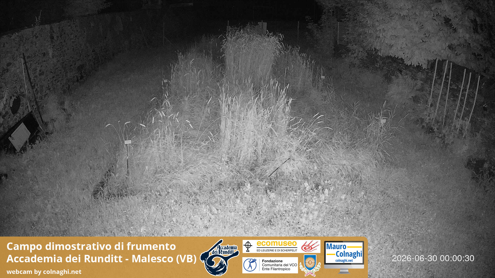 time-lapse frame, Grano webcam